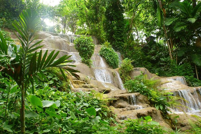 Eco Explorers Waterfall, Rainforest, local Shopping with lunch - A quick taste of Jamaica with Juici Patties
