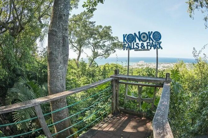 Eco Explorers Waterfall, Rainforest, local Shopping with lunch - Who should choose this tour?