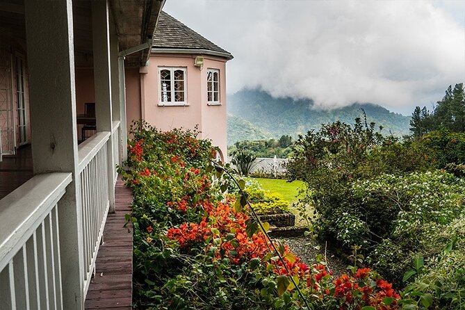 Exotic Blue Mountain Coffee Tour - Timing, comfort, and what to pack