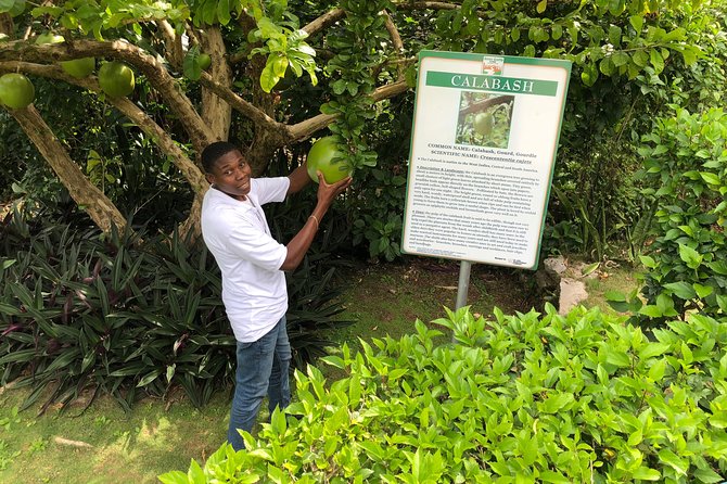 Explore Montego Bay Jamaica Private Tour to Green Gratto Cave - Who will enjoy this Montego Bay outing?