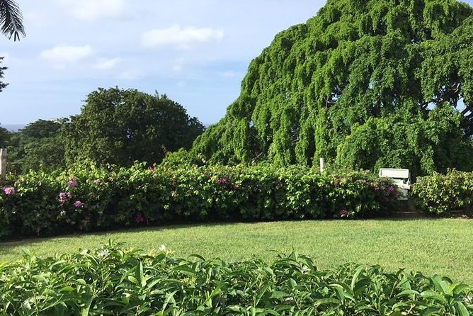 Explore Montego Bay Jamaica Rose Hall Great House Day/Night Tour - Inside the Great House: expect atmosphere, not a full-day visit