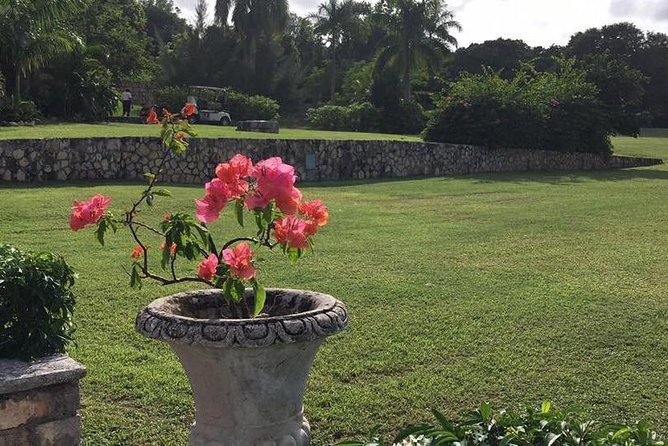 Explore Montego Bay Jamaica Rose Hall Great House Day/Night Tour - Leon’s personal touch changes the value