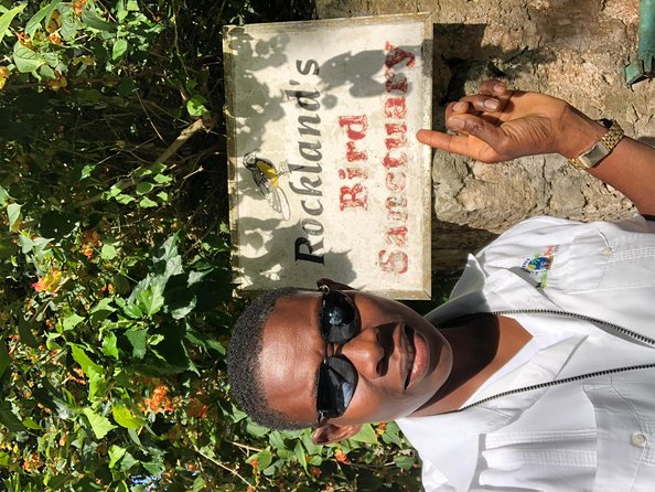 Explore Montego Bay Private Highlight Tour from Montego Bay - What the air-conditioned minivan adds