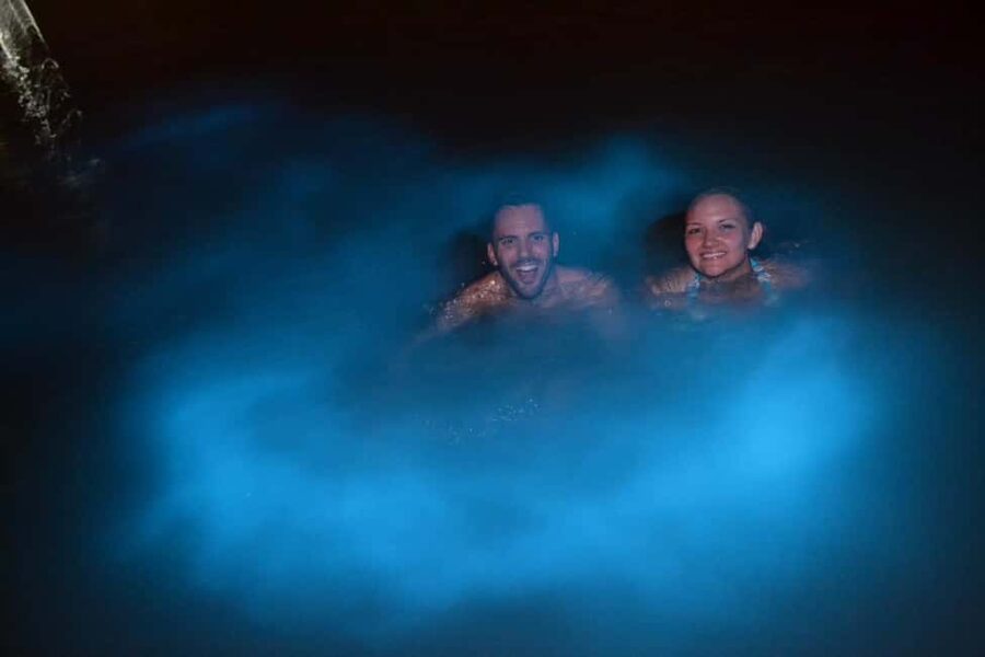 Falmouth: Luminous Lagoon Boat Tour - Why the Luminous Lagoon glows after dark