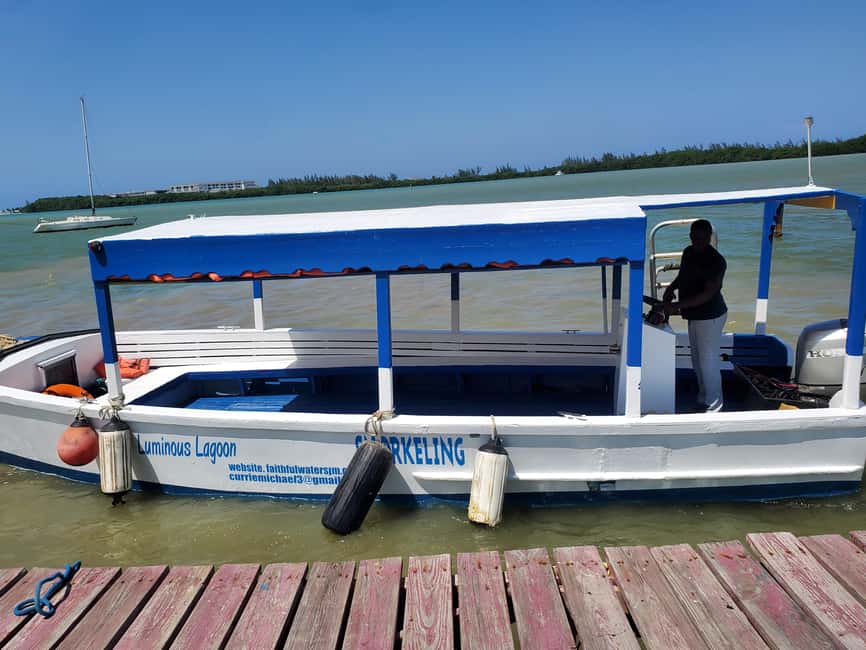 Falmouth: Luminous Lagoon Boat Tour - Swimming in the blue-green water