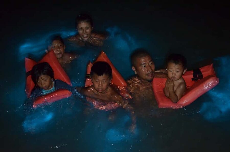 Falmouth: Luminous Lagoon Boat Tour - What the guide adds to the night