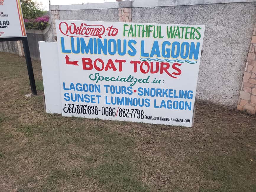 Falmouth: Luminous Lagoon Boat Tour - Small groups, private groups, and the practical choice