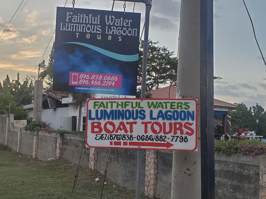 Falmouth: Luminous Lagoon Boat Tour - A simple plan for your evening