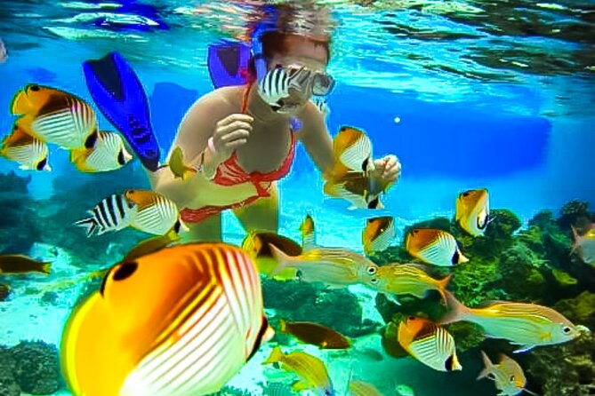 Family Fun-Snorkeling with Lunch Stop from Montego Bay - A speedboat ride to Montego Bay’s coral reef