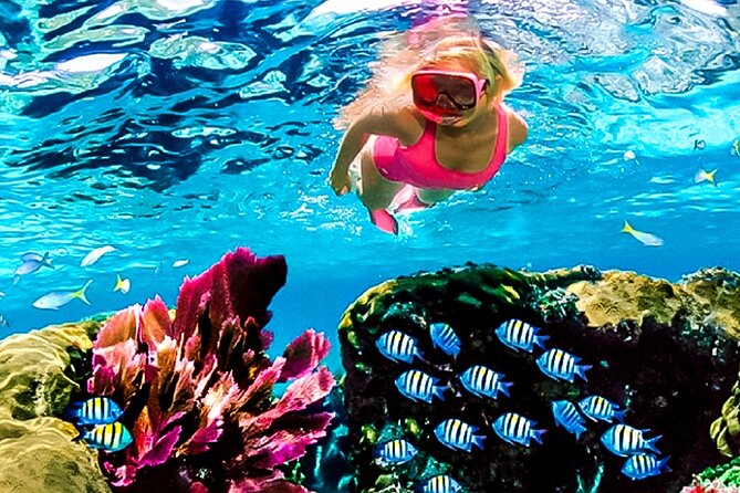 Family Fun-Snorkeling with Lunch Stop from Montego Bay - Why the guides matter for families