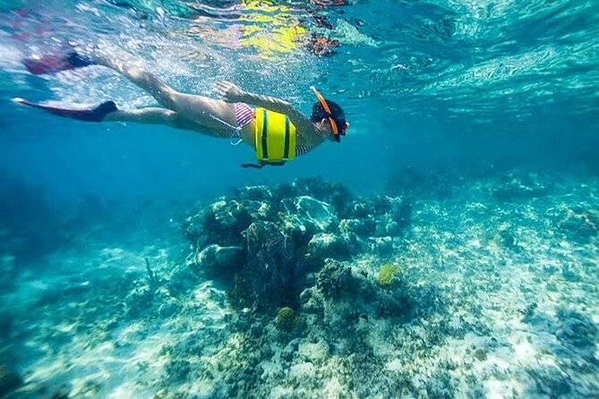 Family Fun-Snorkeling with Lunch Stop from Montego Bay - Weather, water conditions, and cancellation