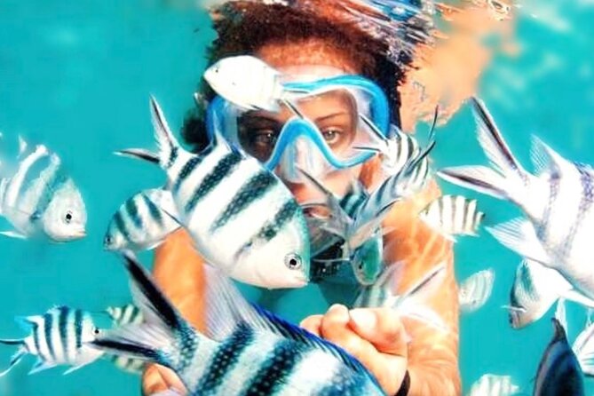 Family Fun-Snorkeling with Lunch Stop from Montego Bay - One hour among fish and coral
