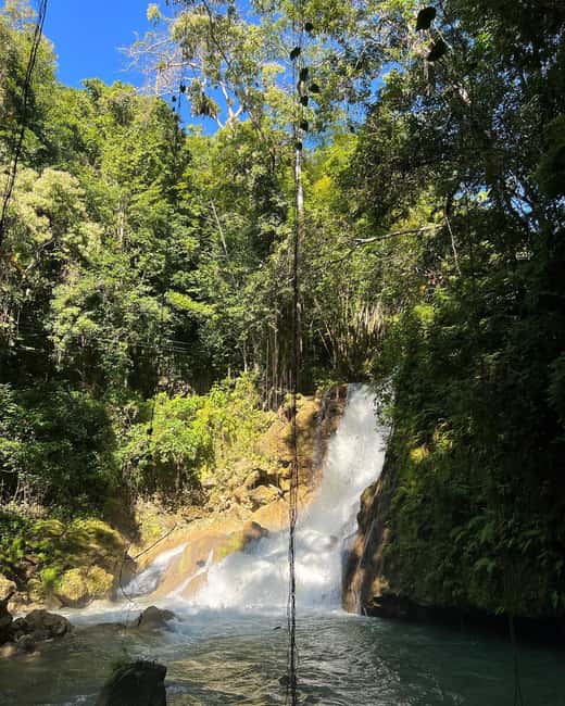 Floyd’s Pelican Bar, Ys Falls and Black River Safari Tour - What private transportation adds