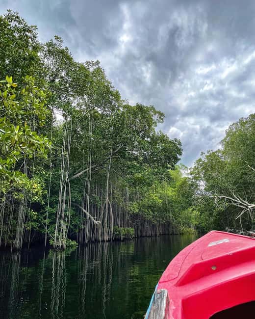 Floyd’s Pelican Bar, Ys Falls and Black River Safari Tour - Is $253 per person good value?
