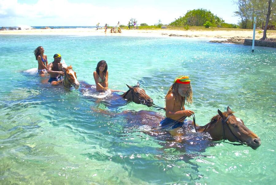 From Falmouth: Horseback Ride and Swim Beach Trip - Pickup From Falmouth Hotels and the Cruise Port