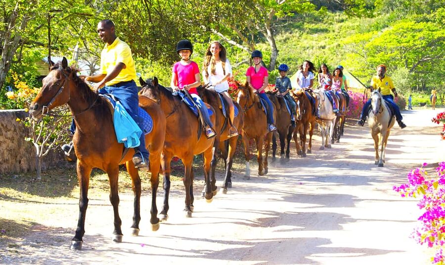 From Falmouth: Horseback Ride and Swim Beach Trip - Swimming Bareback With Your Horse