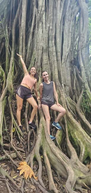From Montego Bay: Blue Hole Waterfall Experience - Should you book the Island Gully Falls experience?