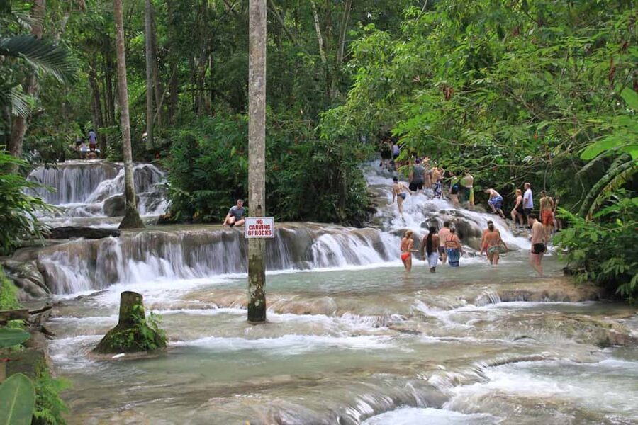 From Montego Bay: Dunn’s River Falls Experience - Optional zipline and park shopping