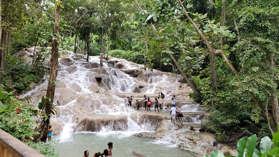 From Montego Bay: Dunn’s River Falls Experience - What the $135 price covers