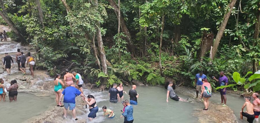 From Montego Bay: Dunn’s River Falls Experience - Who will enjoy this outing most