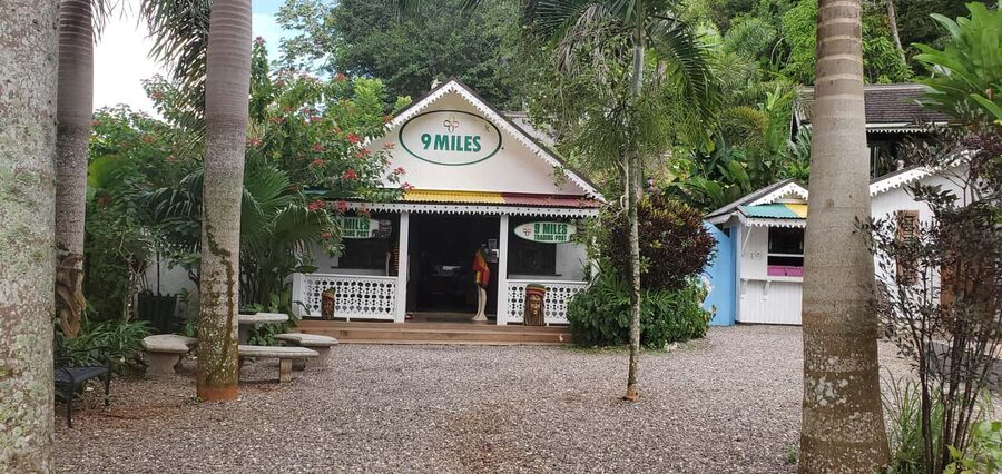 From Montego Bay: The Bob Marley Guided Tour of Nine Mile - Who should book this Nine Mile tour?