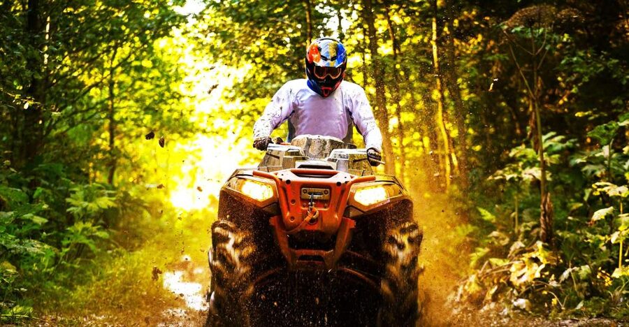From Ocho Rios: Yaaman Adventure Park ATV Tour with Lunch - The bird aviary adds a gentler finish