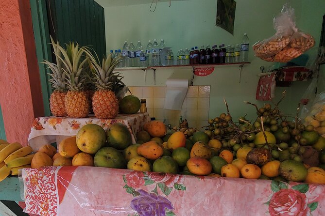 Full-Day Guided Tour to Dunns River Falls & shopping with lunch - Shopping and lunch, with a few gaps to clarify