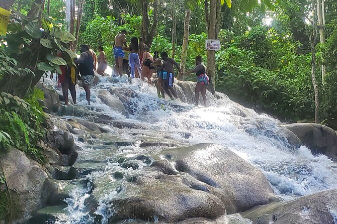 Full-Day Guided Tour to Dunns River Falls & shopping with lunch - Price and value at $130 per person
