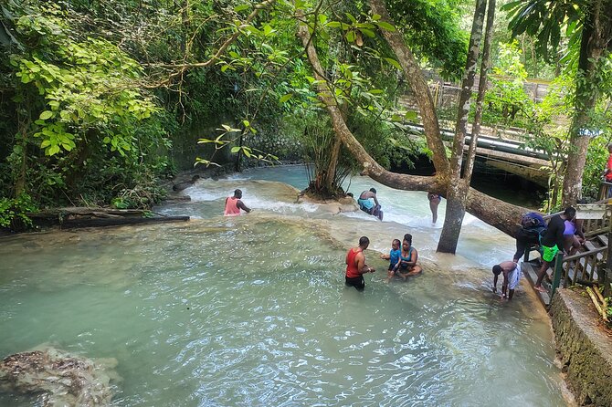Full-Day Guided Tour to Dunns River Falls & shopping with lunch - Who should book this Jamaican day out?
