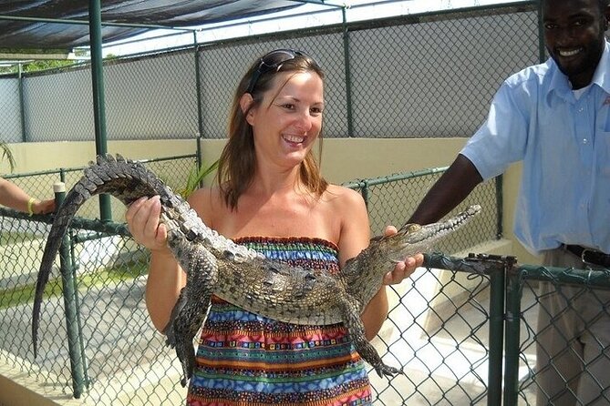 Full-Day South Coast - YS Falls, Pelican Bar & Black River Safari - Three South Coast sights in one long day