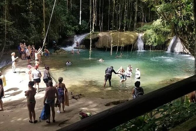 Full-Day South Coast - YS Falls, Pelican Bar & Black River Safari - How the private format changes the day