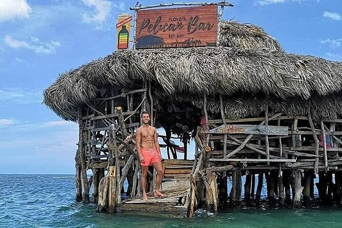 Full-Day South Coast - YS Falls, Pelican Bar & Black River Safari - What the $250.99 price really covers