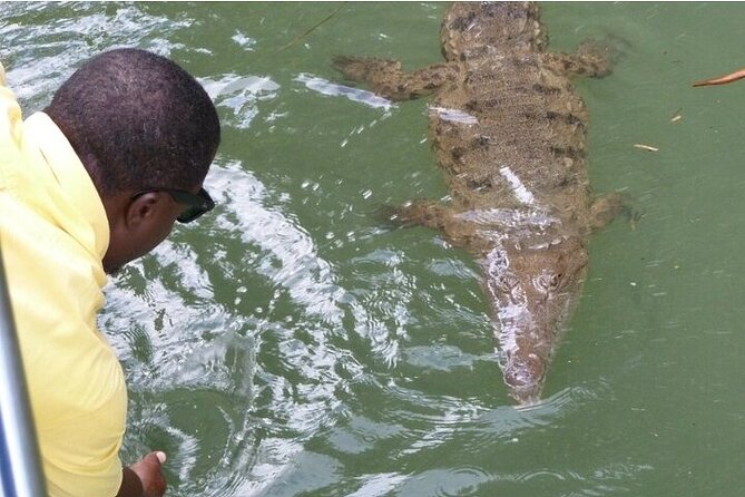Full-Day South Coast - YS Falls, Pelican Bar & Black River Safari - The drive from Negril to Jamaica’s South Coast