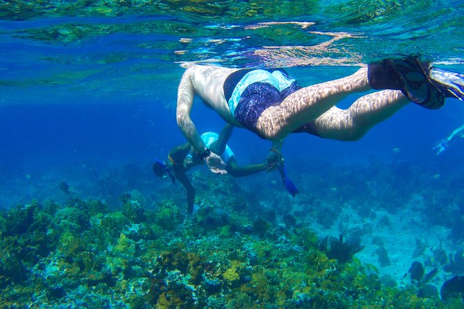 Glass Bottom Boat Ride/Snorkeling/Booby Cay Island from Negril - Key points to know before booking