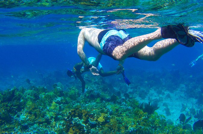 Glass Bottom Boat Ride/Snorkeling/Booby Cay Island from Negril - Booby Cay Island and the optional seafood lunch