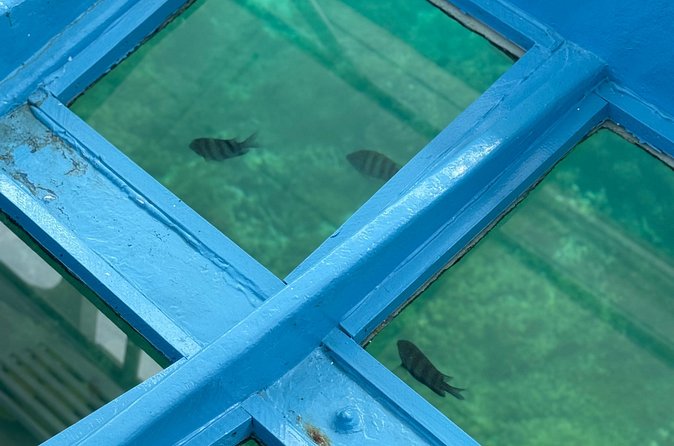 Glass bottom Boat Tour and Snorkeling Experience in Montego Bay - What the $110 Price Means