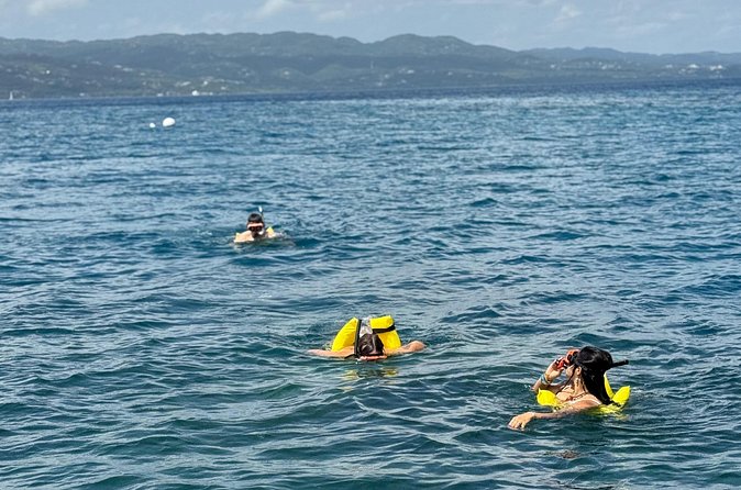 Glass bottom Boat Tour and Snorkeling Experience in Montego Bay - Who Will Enjoy This Most