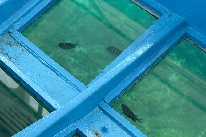 Glass bottom Boat Tour and Snorkeling Experience in Montego Bay - How to Make the Most of the Two Hours