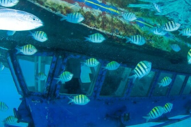 Glass Bottom Boat Water Activity in Montego Bay Jamaica - What the $90 price really covers