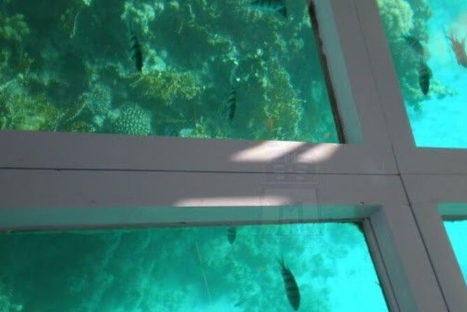 Glass Bottom Boat Water Activity in Montego Bay Jamaica - The ride to the coast