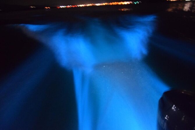 Glow with the Flow: A Romantic Night at the Luminous Lagoon”) - Boarding the boat at Luminous Lagoon
