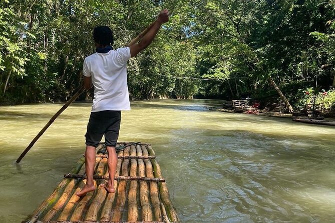 Great River Bamboo Rafting and Bird Sanctuary Combine Tour From Montego Bay - Rocklands Bird Sanctuary and Jamaica’s long-tailed hummingbird