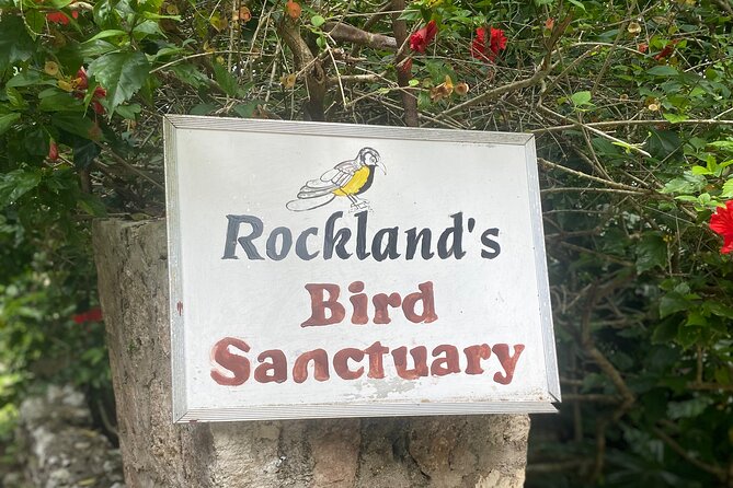 Great River Bamboo Rafting and Bird Sanctuary Combine Tour From Montego Bay - Should you book the Rocklands and Lethe combination?