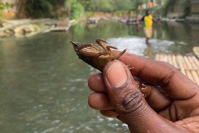 Great River Rafting - Limestone Foot Massage and ATV Rides From Montego Bay - What Kind of Day Should You Expect?