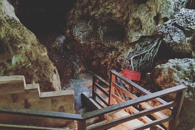 Green Grotto Cave Tour from Montego Bay - Should you book the Green Grotto Cave Tour?