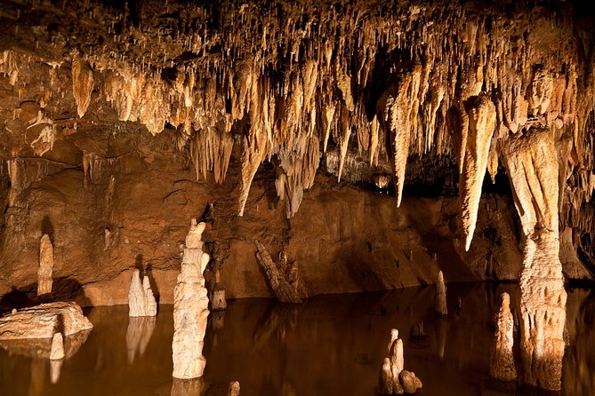 Green Grotto Caves Excursion from Ocho Rios - A history lesson that reaches beyond the rocks