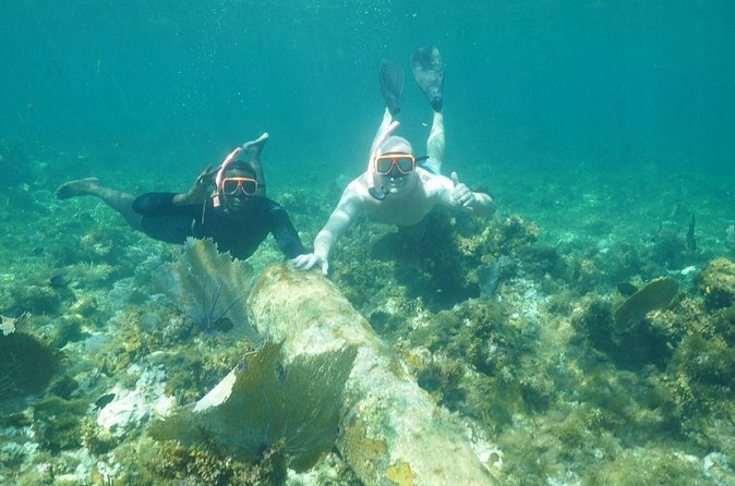 Guided Snorkeling at the Anchor and Cannon Reef in Negril - Who will get the most from this outing