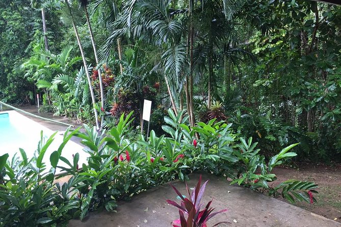 Half-Day Private Martha Brae Rafting Tour from Montego Bay - Safety, comfort, and the human side of the service