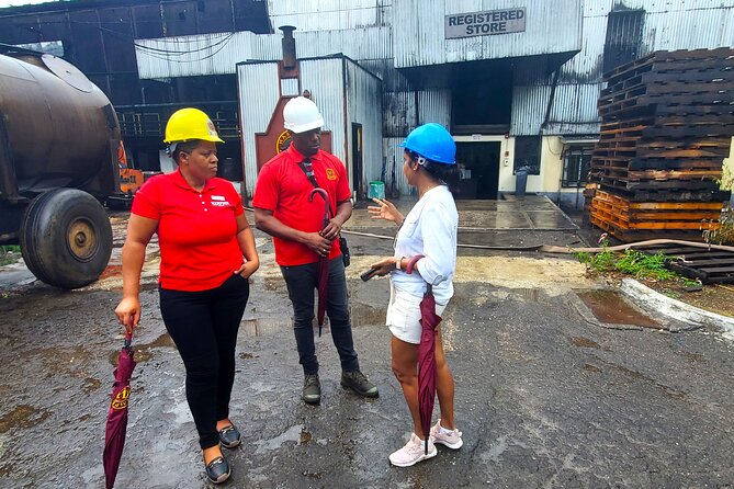 Hampden Estate Rum Tour and Lunch from Montego Bay - What the $195 Price Really Covers