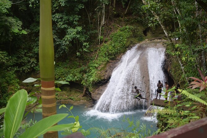 Horse Back Riding and Blue Hole From Montego Bay - Why this five-hour outing works